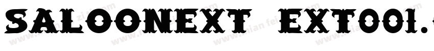 SaloonExt Ext001.001字体转换